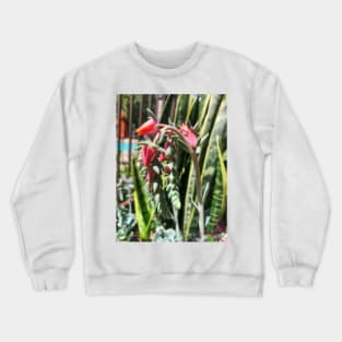 Pink flowering summer succulent Crewneck Sweatshirt